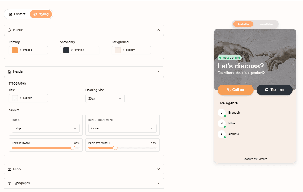 Widget customizer interface with branding controls